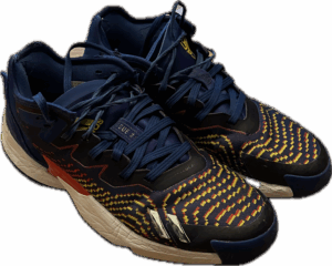 Nicolas Timberlake Adidas Game Used Shoes (2023-2024) - Size 11.5
