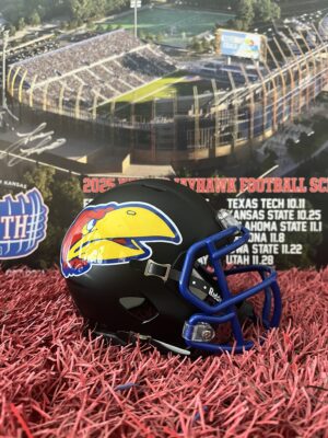 Black Warhawk Riddell Mini-Helmet (LIMITED SUPPLY)