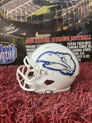 White Warhawk Riddell Mini-Helmet (LIMITED SUPPLY)